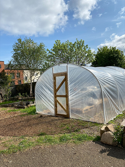 Empty Kitchen Full Hearts Polytunnel